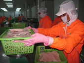 Thuỷ sản Ấn Độ giải tỏa nỗi lo thuế tại Hoa Kỳ 