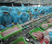 Rộng mở thị trường cá tra, basa 