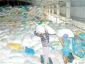 Không ký hợp đồng xuất khẩu gạo giao hàng quá 2 tháng