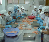 Chật vật tìm nguyên liệu chế biến thuỷ sản xuất khẩu