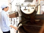 Quay lại phương thức xuất khẩu cà phê cũ