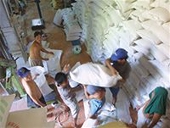 Không thể xuất khẩu đến 10 triệu tấn gạo