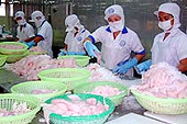 Cá tra và basa của Việt Nam tiêu thụ tốt ở thị trường Mỹ