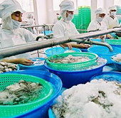 EU công nhận bổ sung 30 doanh nghiệp chế biến thuỷ sản