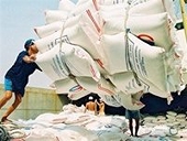 Gạo xuất khẩu có khả năng tăng giá trở lại