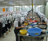Xuất khẩu thủy sản “bơi” trong khó khăn