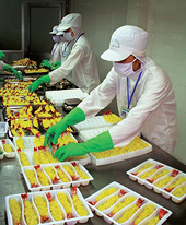Kỳ II: Tình hình đầu tư của Việt Nam vào Braxin