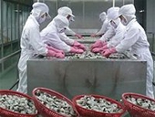 Nhiều doanh nghiệp tôm được áp thuế phá giá gần bằng 0%