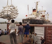 Xuất khẩu gạo: Lượng tăng, giá trị không tăng