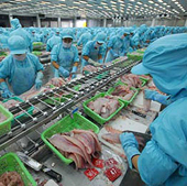 Mỹ bãi bỏ thuế chống phá giá: thêm cơ hội cho thuỷ sản xuất khẩu 