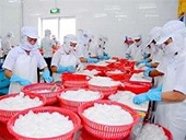 Mỹ nhập khẩu nhiều mực, bạch tuộc từ Việt Nam