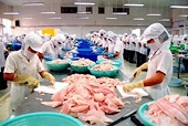 Thủy sản Việt Nam vẫn được ưa chuộng tại Mỹ