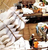 Thị trường xuất khẩu gạo đối mặt nhiều áp lực