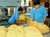  Xuất khẩu cao su: vẫn còn triển vọng