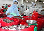 Xuất khẩu 2009: “Có thể chỉ đạt 59 tỷ USD”
