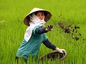 Việt Nam sẽ sớm được công nhận là nước có nền kinh tế thị trường