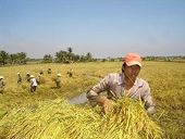 OECD muốn VN làm cầu nối hợp tác với ASEAN
