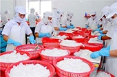  Mực, bạch tuộc Việt Nam sang Hàn Quốc nhiều nhất