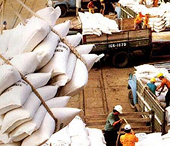 Muốn xuất khẩu gạo phải có giấy phép