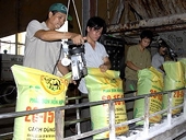Ngừng cấp phép xuất khẩu phân bón có nguồn gốc nhập khẩu