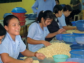 Nâng cao sức cạnh tranh của hạt điều 