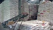 Giá gạo xuất khẩu tăng vọt