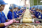 ACFTA và nỗi lo thâm hụt thương mại Việt - Trung 