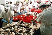 Việt Nam và Mỹ nỗ lực thúc đẩy quan hệ thương mại