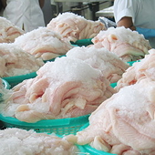 Thái Lan và SSA (Mỹ) tìm kiếm giải pháp cho chống bán phá giá tôm