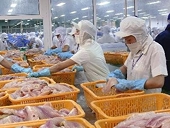 Châu Âu lo ngại về luật dán nhãn thuỷ sản mới