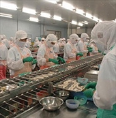 Xuất khẩu hàng khô sang Hàn Quốc tăng trưởng ổn định
