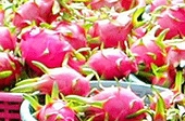 Nhìn lại xuất nhập khẩu 11 tháng   