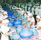 Hàn Quốc tăng cường kiểm dịch thủy sản nhập khẩu