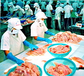 Việt Nam trở thành thành viên WCPFC