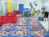 Người nuôi cá da trơn Mỹ “nỗ lực” đưa cá da trơn vào chương trình thanh tra thực phẩm của Bộ Nông nghiệp