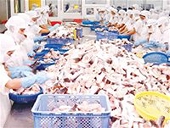 Sao cứ mãi là tiềm năng?