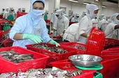 Tiếp cận thị trường Nhật nên thông qua doanh nghiệp sở tại