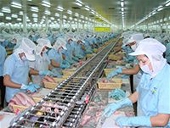 Xuất khẩu cá tra sang Nga tăng đột biến  
