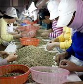 Xuất khẩu nông lâm thủy sản đạt trên 15 tỷ USD