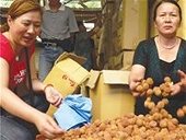  Triển vọng thương mại từ ACFTA 