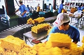  Giá cao su phục hồi mạnh mẽ