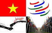 Việt Nam là hình mẫu thành công của WTO về hội nhập