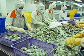 Đề xuất kiện Mỹ ra WTO, thứ trưởng Bộ Công thương Lê Danh Vĩnh: “Chúng tôi đã cân nhắc rất kỹ”
