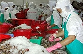 Việt Nam có thể kiện Mỹ ra WTO
