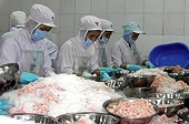 Trái chiều dự báo kim ngạch xuất khẩu thủy sản 2010