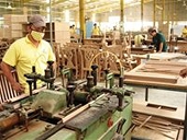 Xuất khẩu gỗ lúng túng trước các luật lệ mới