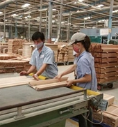 Không thu thuế xuất khẩu đối với gỗ, than cốc sản xuất từ nguyên liệu nhập khẩu