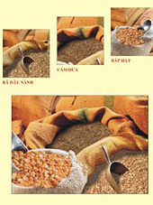 Nhập khẩu hàng hóa từ thị trường Hoa Kỳ tăng mạnh 