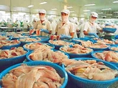 Tái diễn “Chiến dịch catfish”?