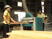 Hiệp định AANZFTA: 15 triệu đô-la Mỹ nâng cao năng lực thành viên